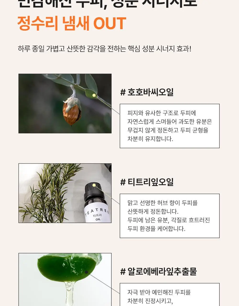 [지성/정수리샴푸]닥터올가 호호바티트리 샴푸 500ml 상세페이지 14